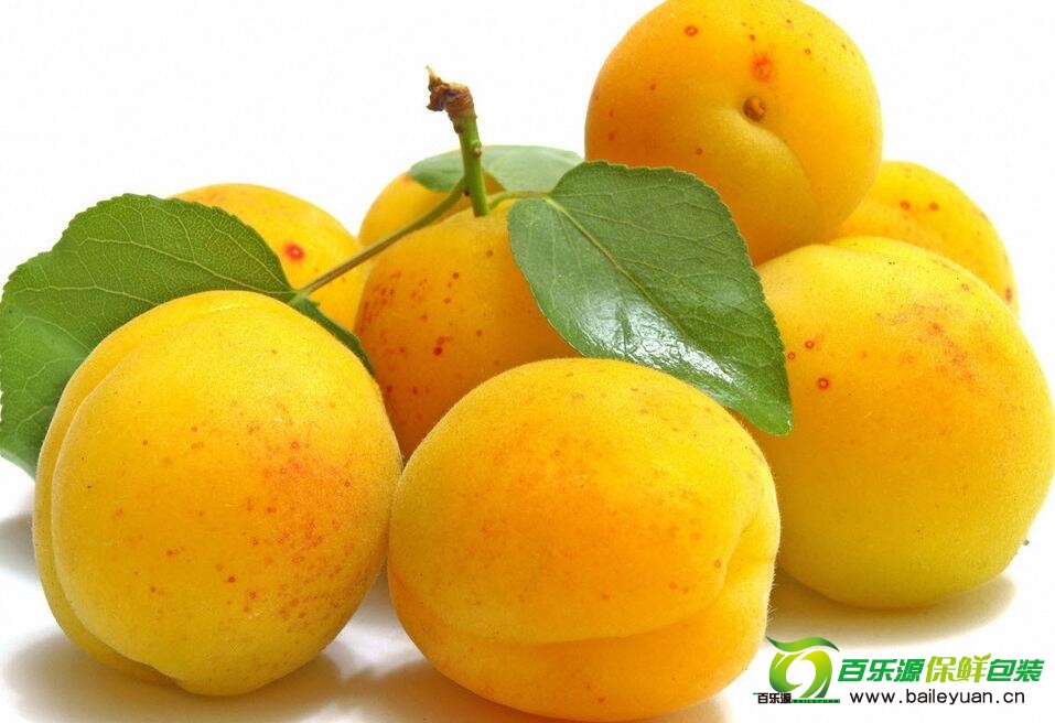 杏的營養價值